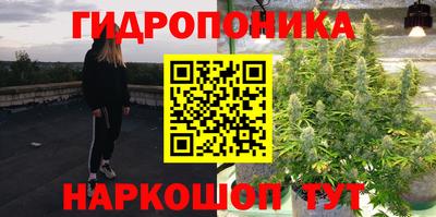 гидра Абакан
